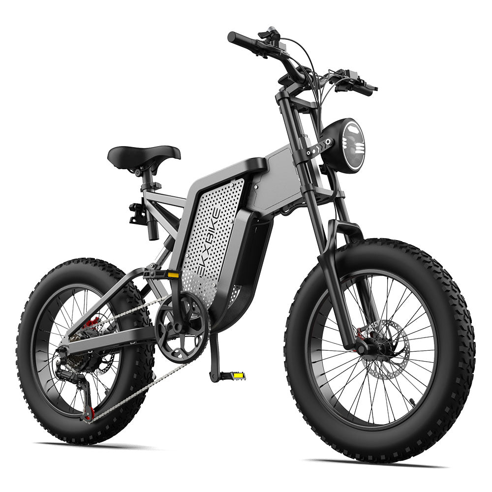 EKX X20 |  Fat Tire Electric Bike