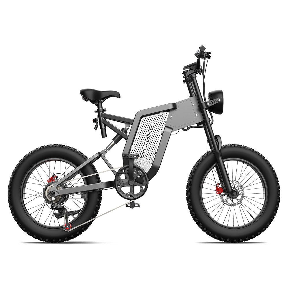 EKX X20 |  Fat Tire Electric Bike